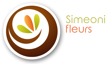Simeoni Fleurs